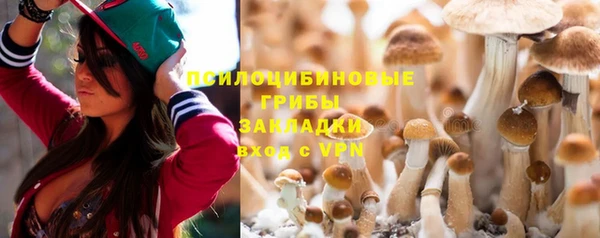 Альфа ПВП Бугульма