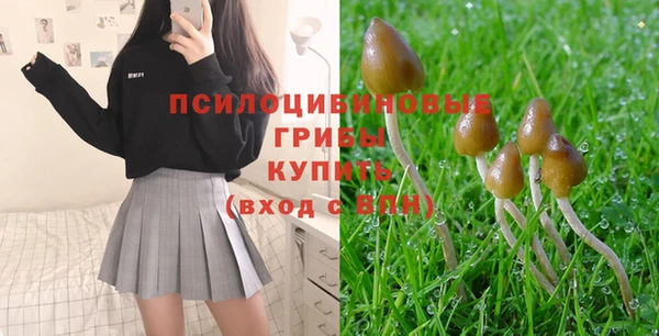MDMA Premium VHQ Бородино