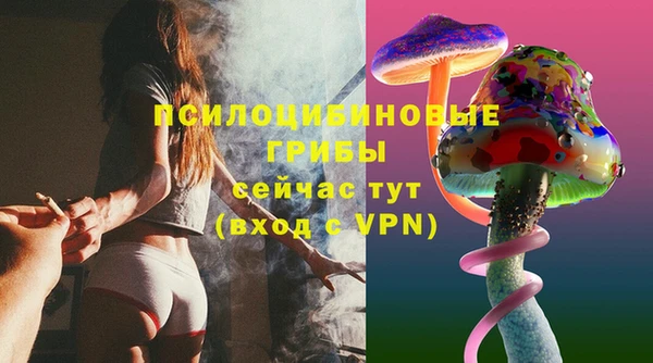 Альфа ПВП Бугульма